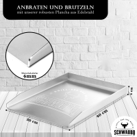 Plancha Universal 40 x 30 cm