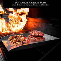 Plancha Universal 40 x 30 cm